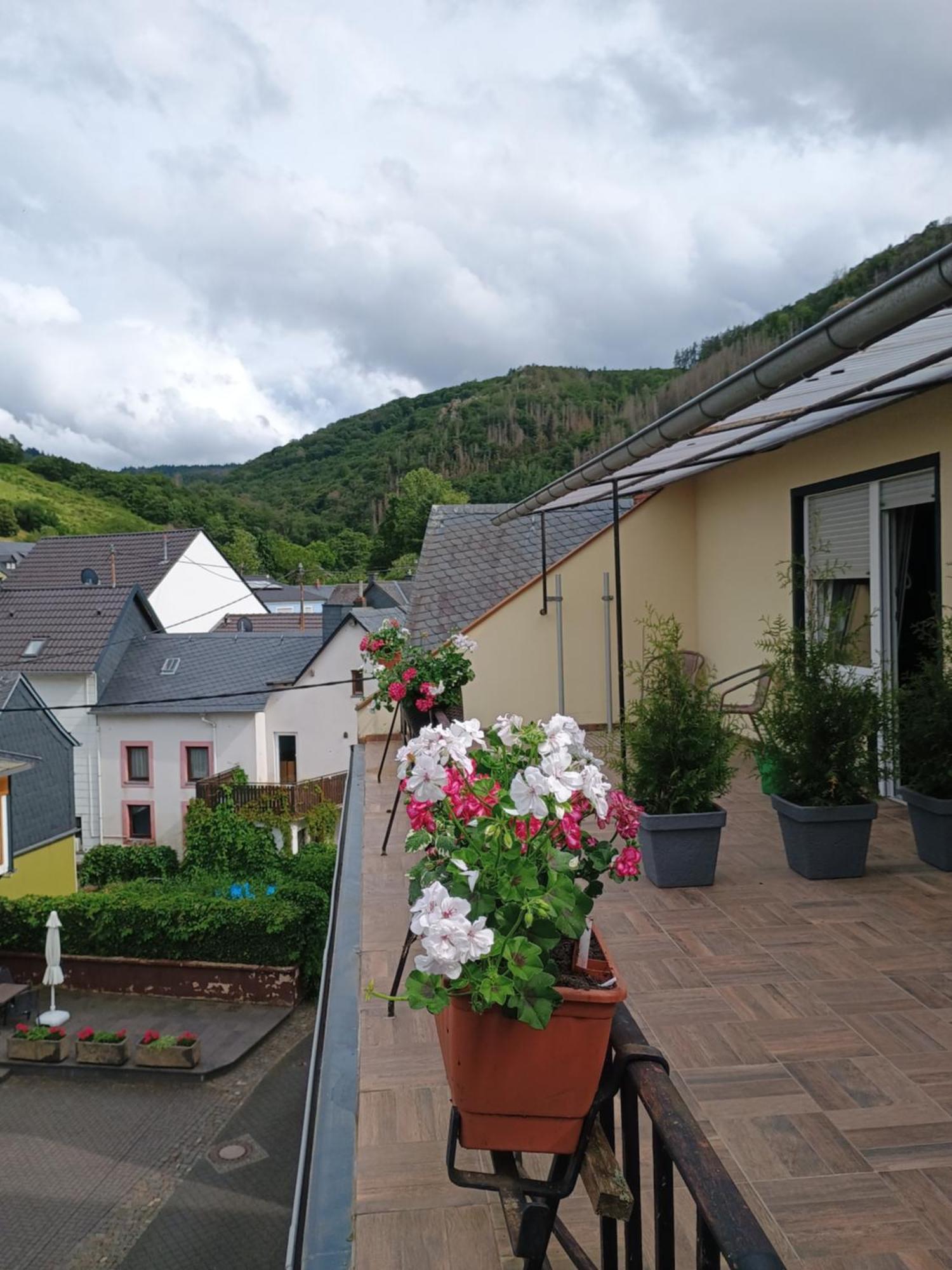 Gasthof Zur Grafschaft Veldenz Zewnętrze zdjęcie
