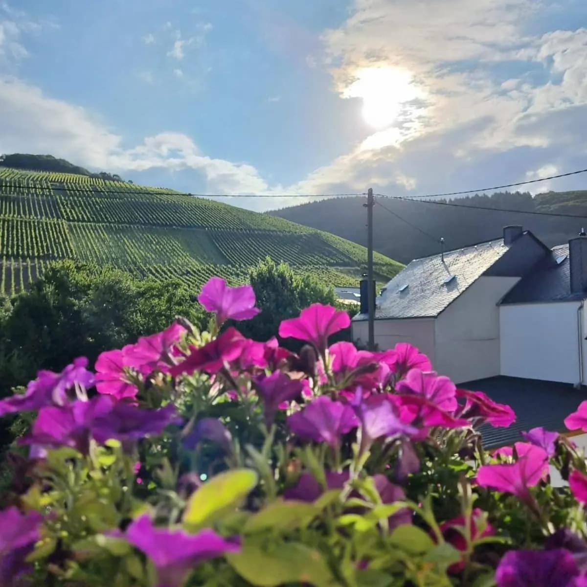 Gasthof Zur Grafschaft Veldenz Zewnętrze zdjęcie